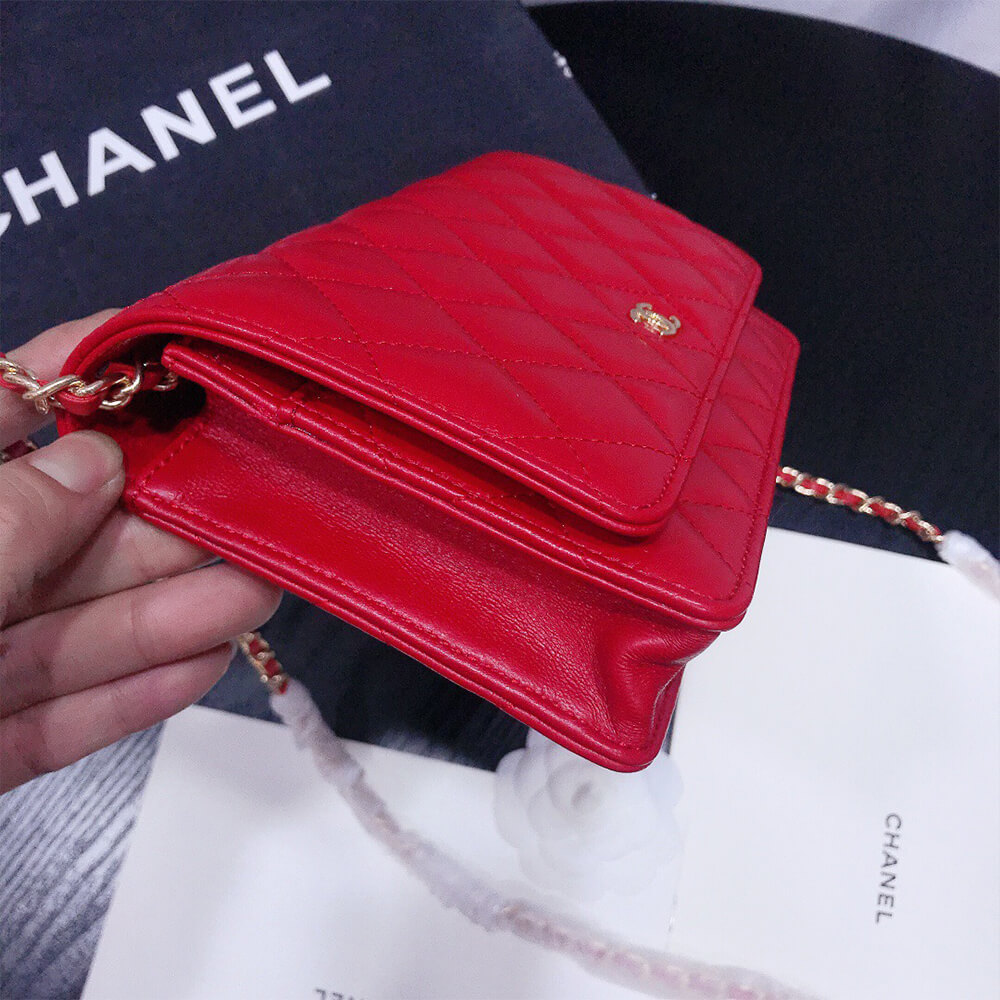 Ch*el wallet on chain
