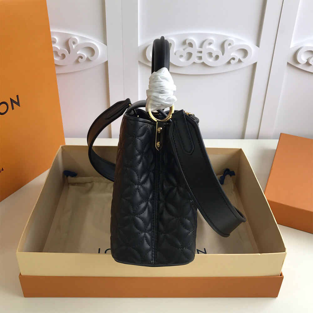 LV CAPUCINES BAG